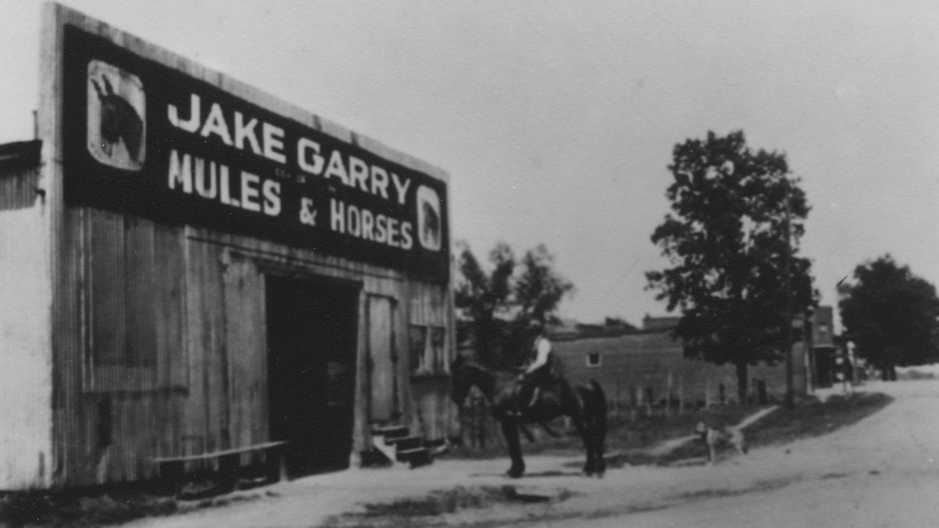 Historic Photographs Jake Garry Mules And Horses Historic Pell City photograph used for railway research